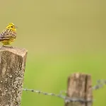 Atlanta Valkenburg aan de Geul
