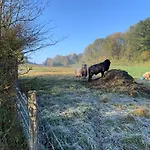 Ξενοδοχείο Atlanta 4*