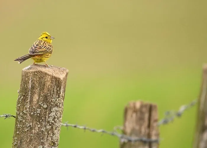 Atlanta Valkenburg aan de Geul